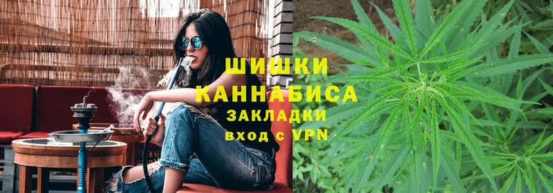 Конопля SATIVA & INDICA  Людиново 